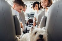 Keep Your Car Clean With Kids: 7 Practical Tips That Work
