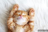 5 Proven Habits for a Deeper, More Restful Night’s Sleep