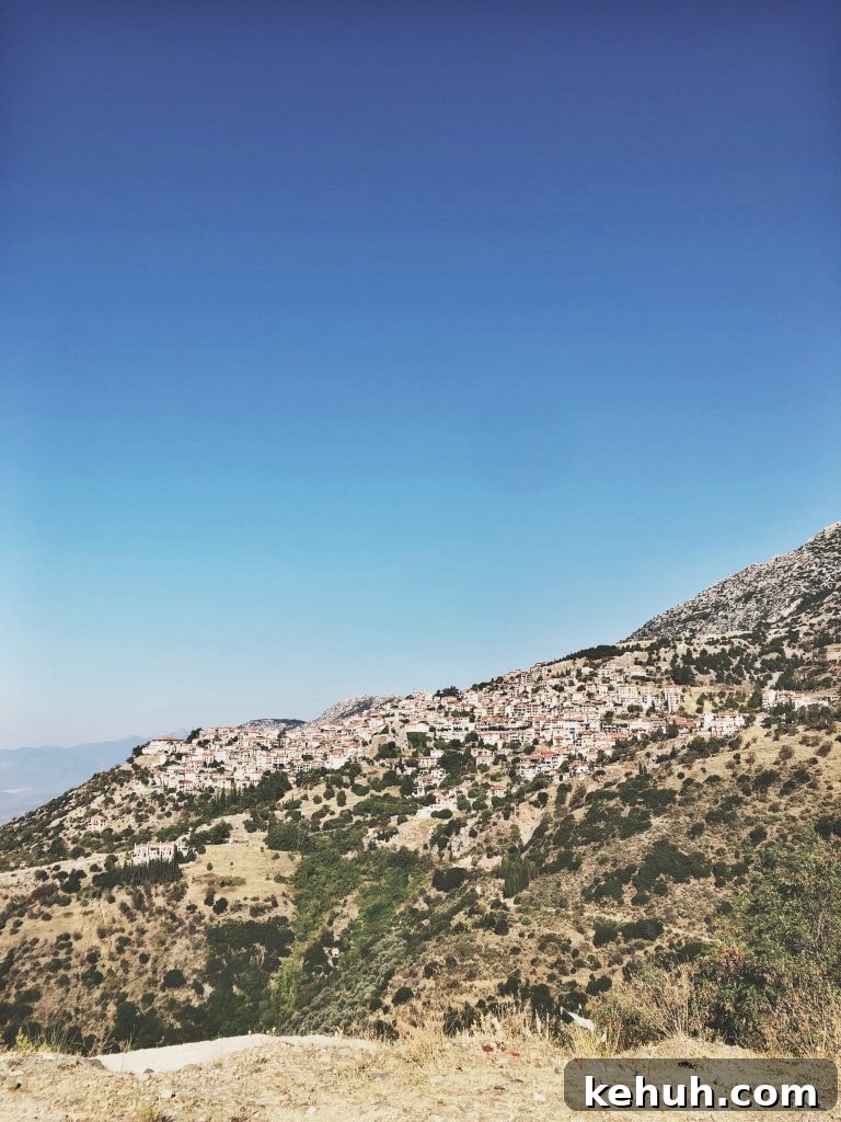 img 1025 30