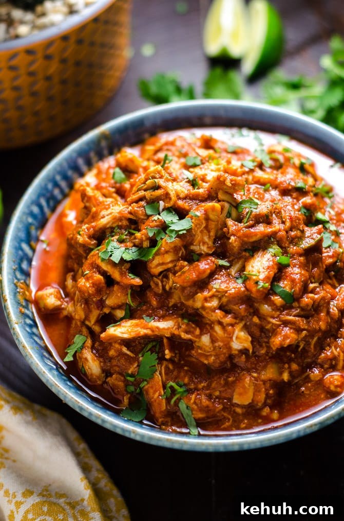 Spicy Slow-Cooker Shredded Mexican Chicken Recipe 5 Slow Cooker Spicy Shredded Mexican Chicken. Almost as easy to make as it is delicious. Great for tacos, enchiladas, burritos, and more! | hostthetoast.com