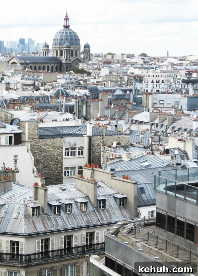 The roofs of Paris