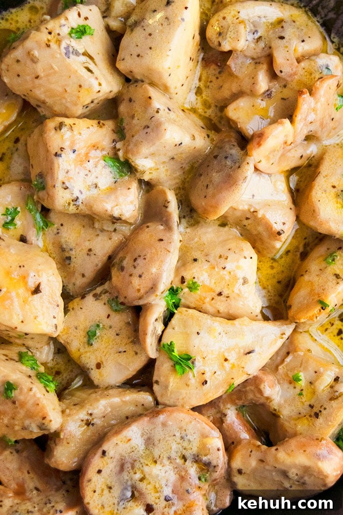 Cream of Mushroom Chicken in the Instant Pot: Creamy Weeknight Meal 3 Closeup Shot of Creamy Chicken With Mushroom Sauce