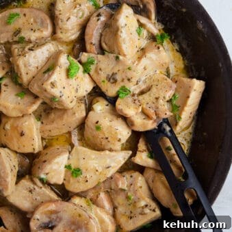 Cream of Mushroom Chicken in the Instant Pot: Creamy Weeknight Meal 4 Easy Instant Pot Cream of Mushroom Chicken in Black Dish With Black Spoon on White Background