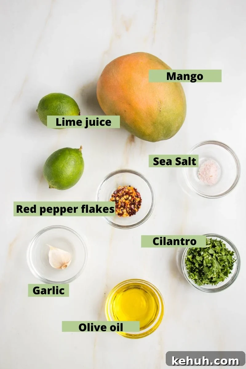 Vibrant Vegan Mango Salad Dressing Recipe for Fresh Salads 4 Labeled ingredients: mango, two limes, red pepper flakes, sea salt, garlic, olive oil, chopped cilantro