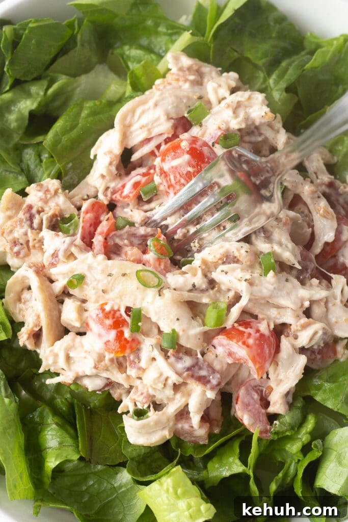 5-Ingredient BLT Chicken Salad Recipe for Quick Lunch 14 Close up of a fork poking into some BLT chicken salad on top of lettuce in a white bowl.