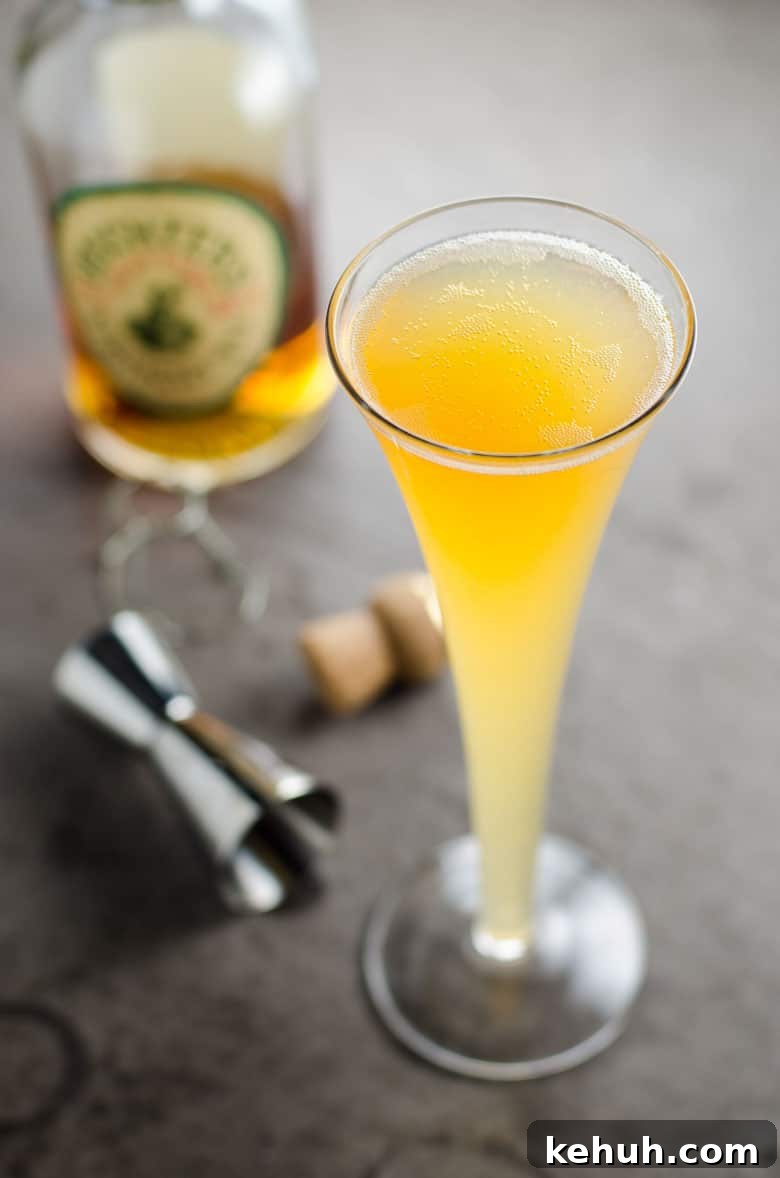The Fifteen Apple Cider Rye Champagne Cocktail 780 | Umami Girl-2