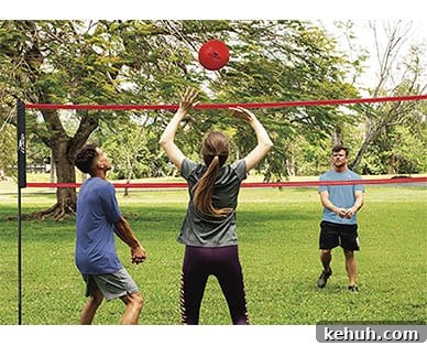 Carry bag and components