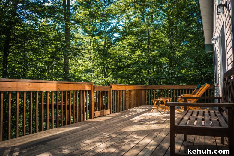 Sunny outdoor wooden deck surrounded by trees