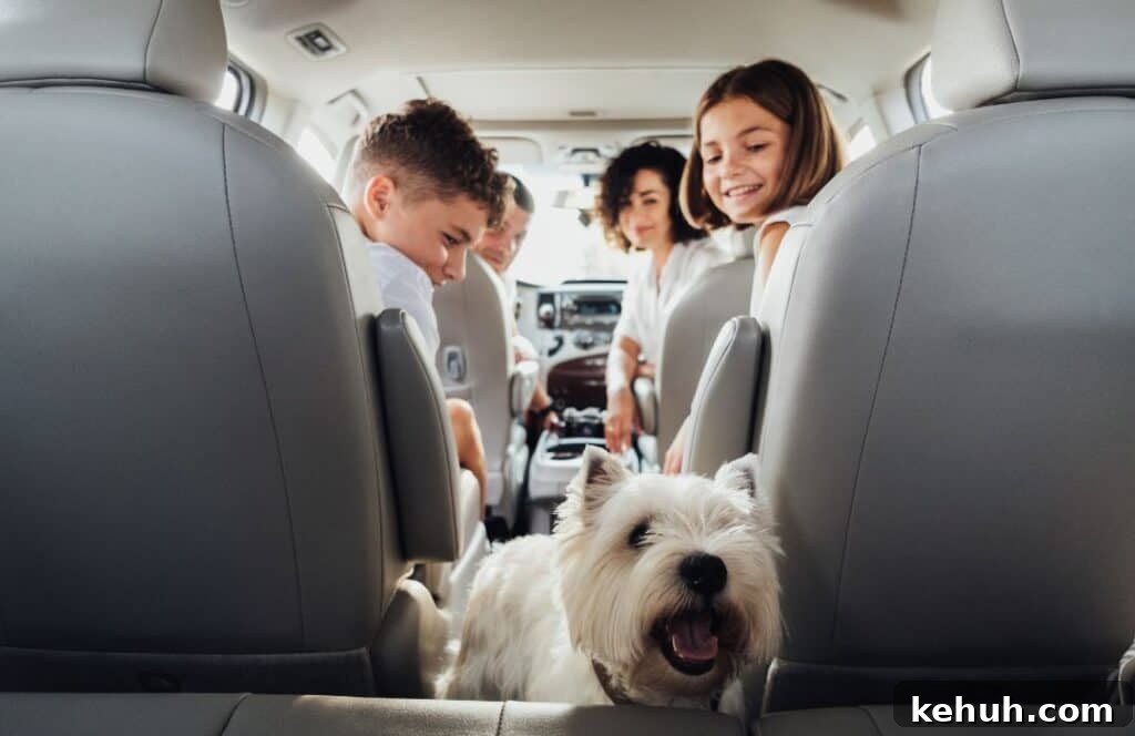 clean family car