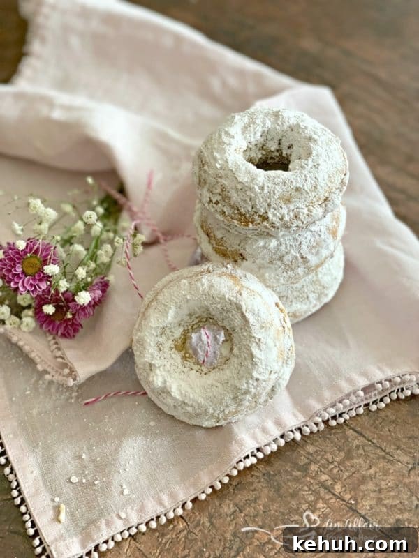 How to Make Classic Powdered Sugar Donuts at Home 2 Baked Powdered Sugar Donuts