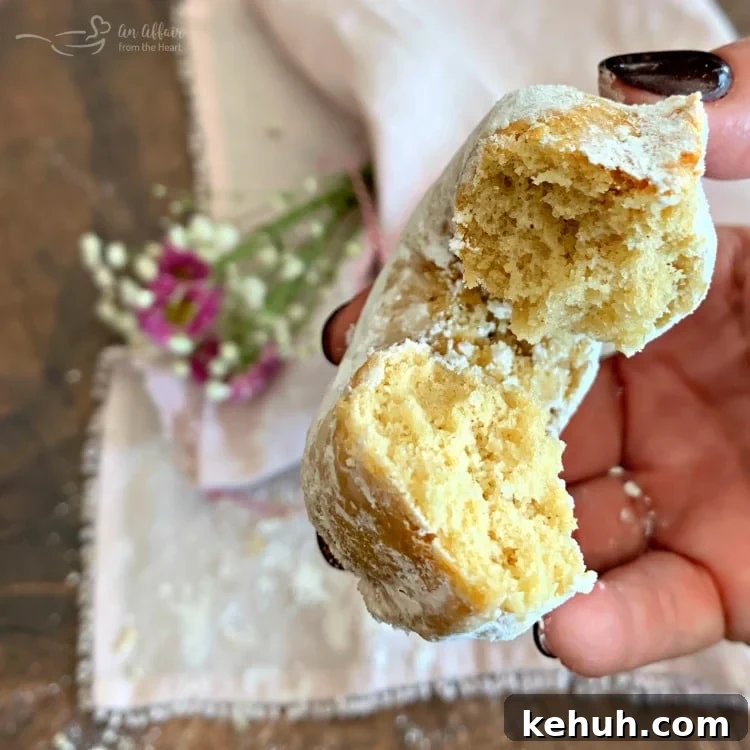 How to Make Classic Powdered Sugar Donuts at Home 4 Baked Powdered Sugar Donuts bite