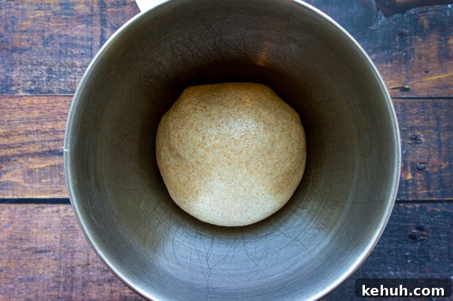 dough ready for it's first rise