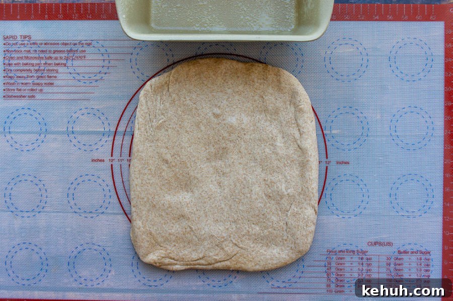 dough pressed for rolling up