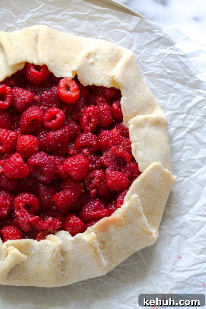 Pleating Raspberry Lime Coconut Galette