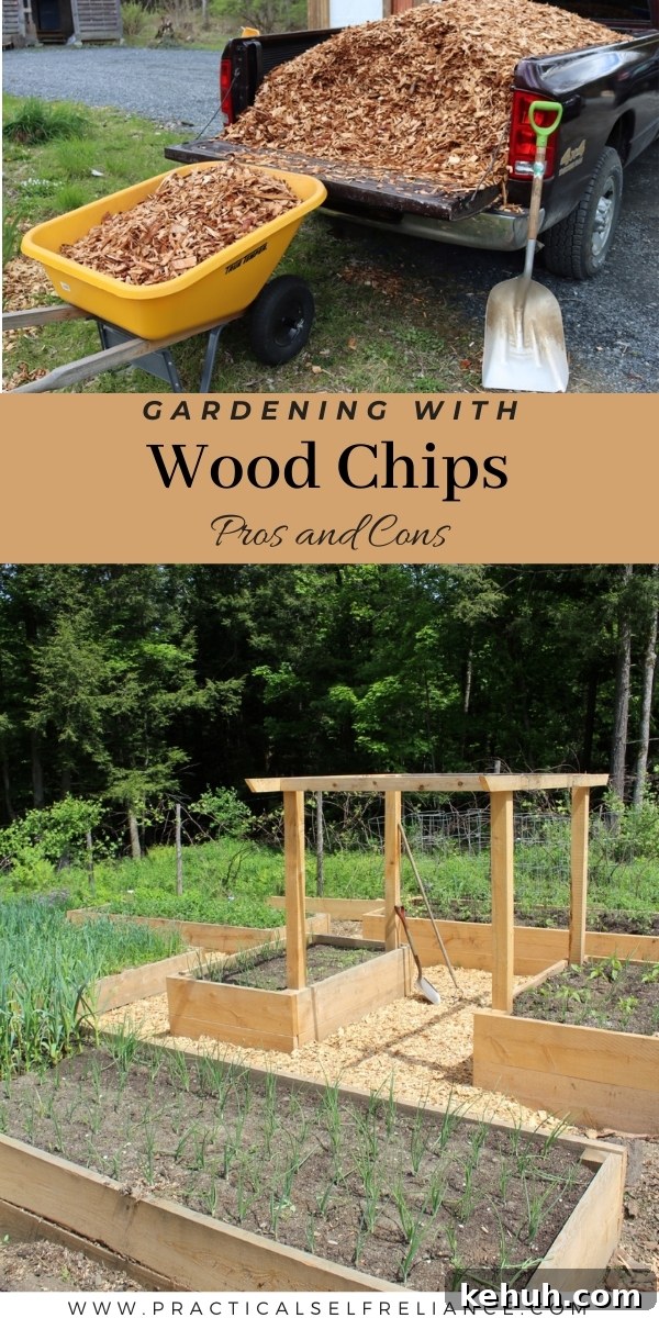 Gardening with Wood Chips: Mulch Tips for Richer Soil and Less Weeding 12 img 17116 12