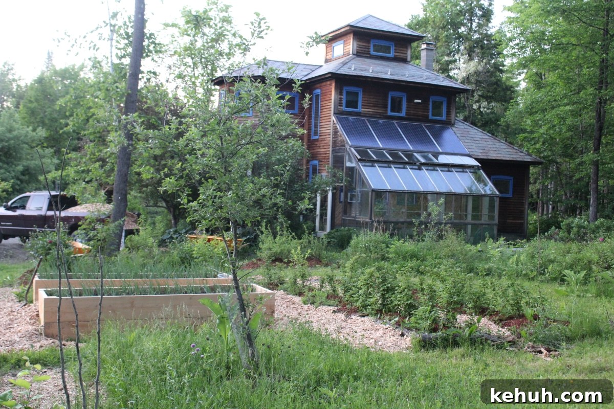 Gardening with Wood Chips: Mulch Tips for Richer Soil and Less Weeding 3 Gardening with Wood Chips