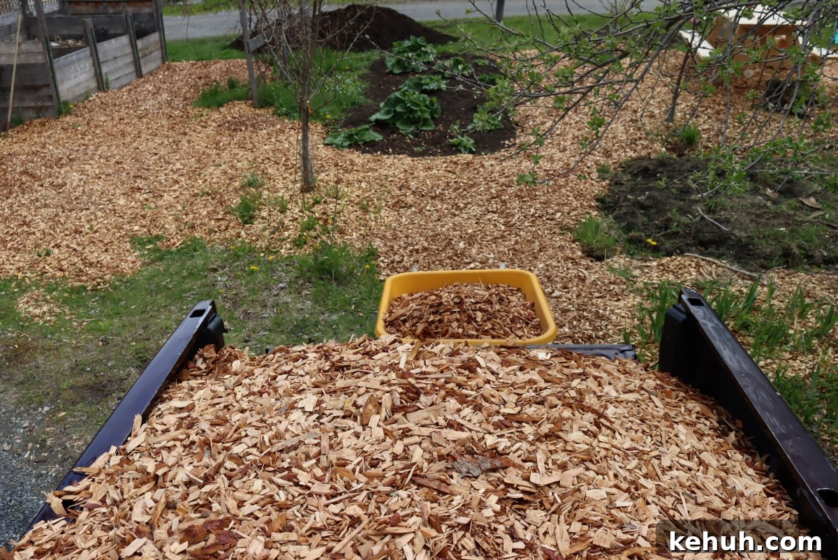 Gardening with Wood Chips: Mulch Tips for Richer Soil and Less Weeding 5 Unloading Wood Chips