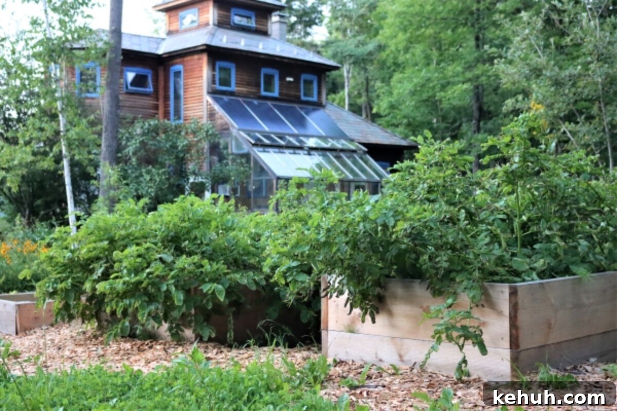 Gardening with Wood Chips: Mulch Tips for Richer Soil and Less Weeding 6 Growing Potatoes in Rasied Beds