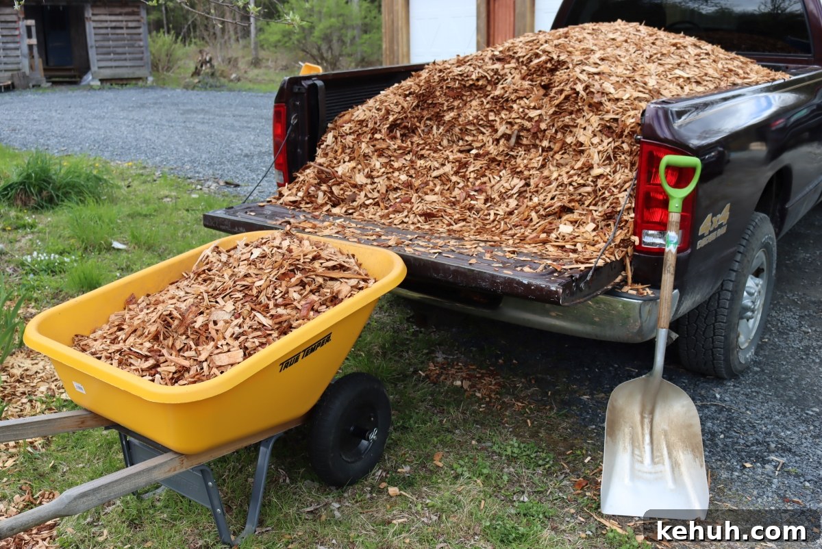 Gardening with Wood Chips: Mulch Tips for Richer Soil and Less Weeding 9 Unloading Wood Chips