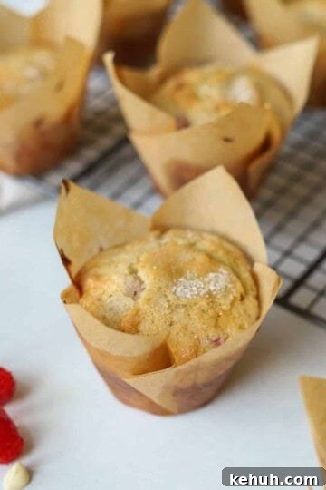 White chocolate muffins with raspberries in cupcake liner.