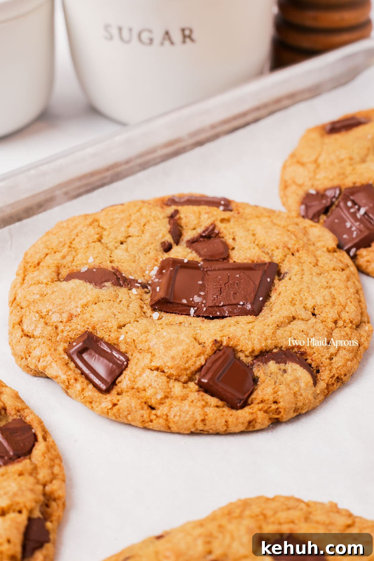 Chocolate chip cookie close-up