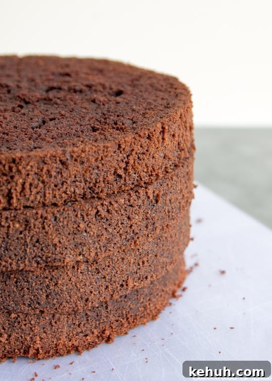 How to Cover a Cake with Smooth Ganache Finish 7 Four stacked layers of chocolate cake.