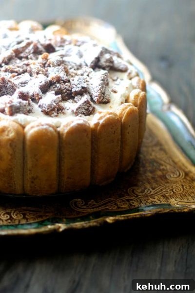 Pumpkin Tiramisu with Molasses Cookie Crumb