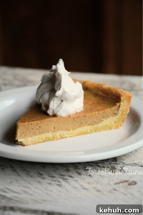 Persimmon Pie