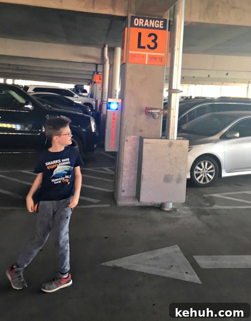Disney Springs Parking Guide: Find Faster, Stress-Free Spots Today 3 Parking Deck Markers Disney Springs