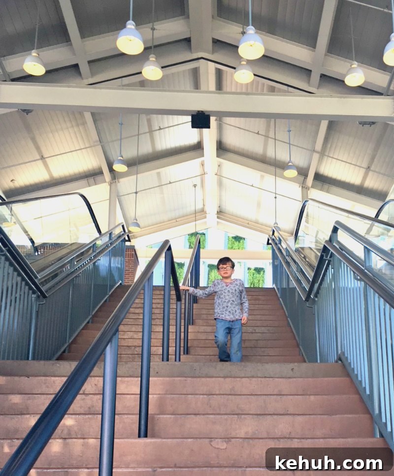 Disney Springs Parking Guide: Find Faster, Stress-Free Spots Today 4 Parking at Disney Springs Orange Garage Steps