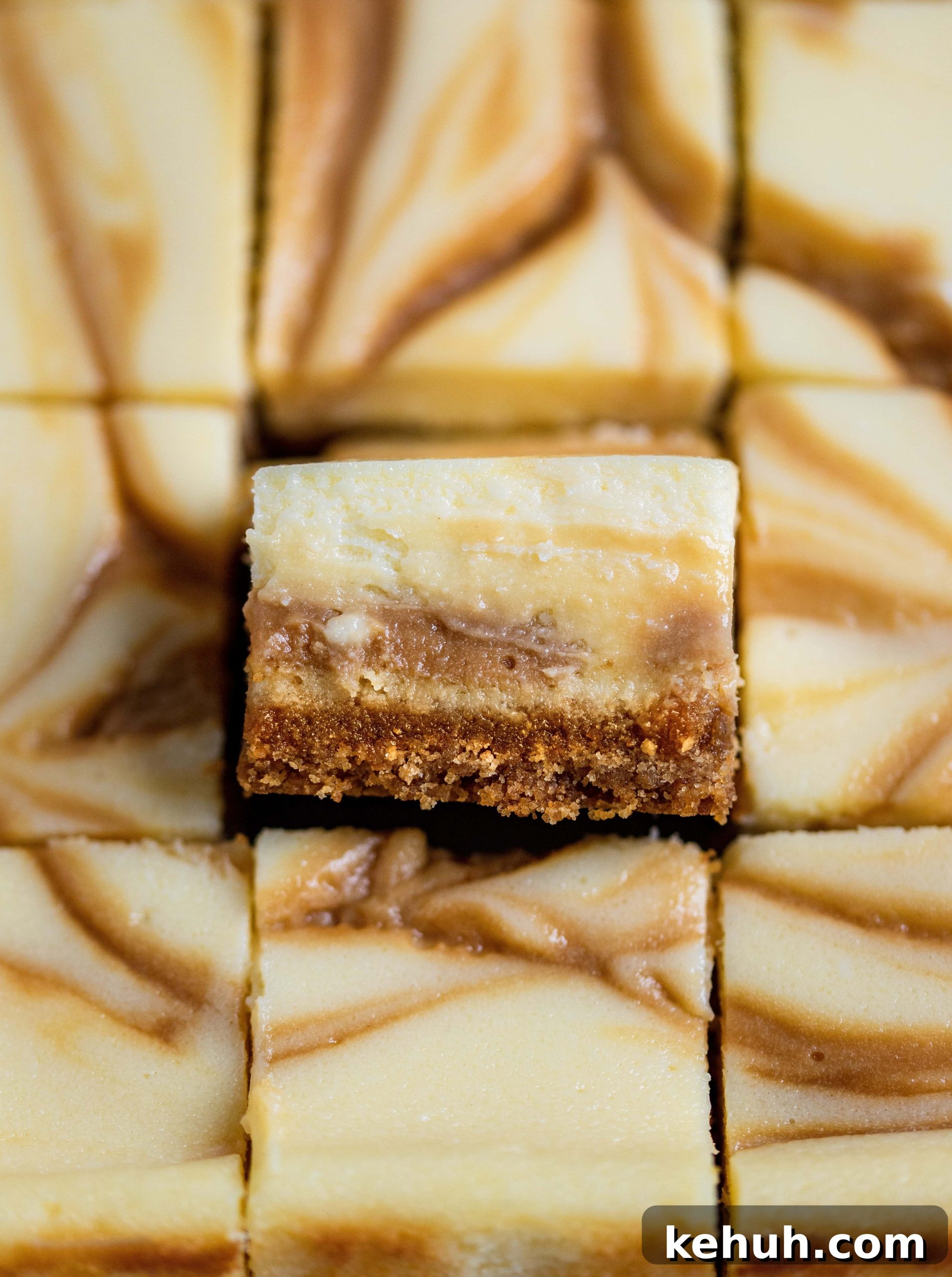 Salted Caramel Swirl Cheesecake Bars Recipe for Parties 5 Salted caramel swirl cheesecake bar close up