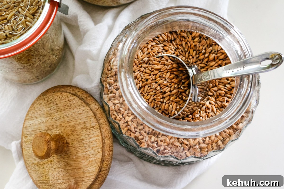Ancient Grains Return: New Uses, Benefits, and Recipes for 2026 7 ancient grains like spelt in a glass jar with wooden lid.