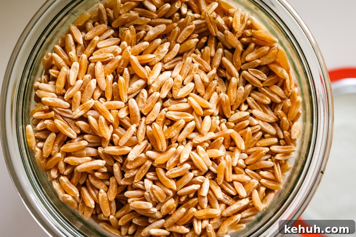 Ancient Grains Return: New Uses, Benefits, and Recipes for 2026 5 kamut in a weck jar.