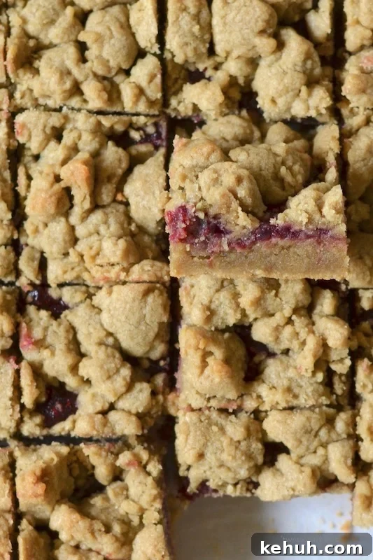 Sunbutter and Jelly Bars Recipe — No-Bake Snack Squares 8 Up close overhead shot of sunbutter and jelly bars