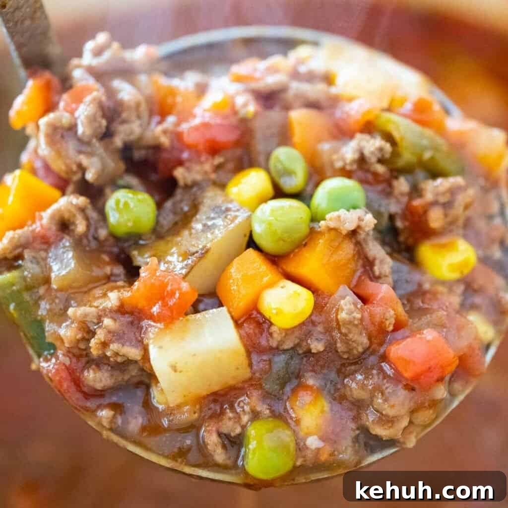 Hearty Ground Beef and Vegetable Soup Recipe 2 ladle of ground beef vegetable soup