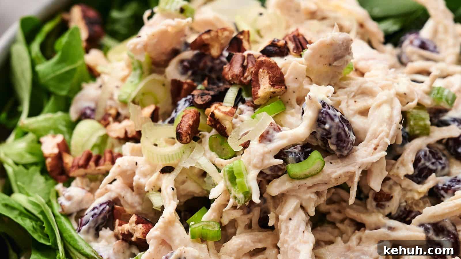 31 Homemade Thanksgiving Sides That Outshine Store-Bought 19 Close-up of a flavorful chicken salad with diced chicken, green onions, chopped pecans, and raisins, all served on a bed of fresh spinach leaves.