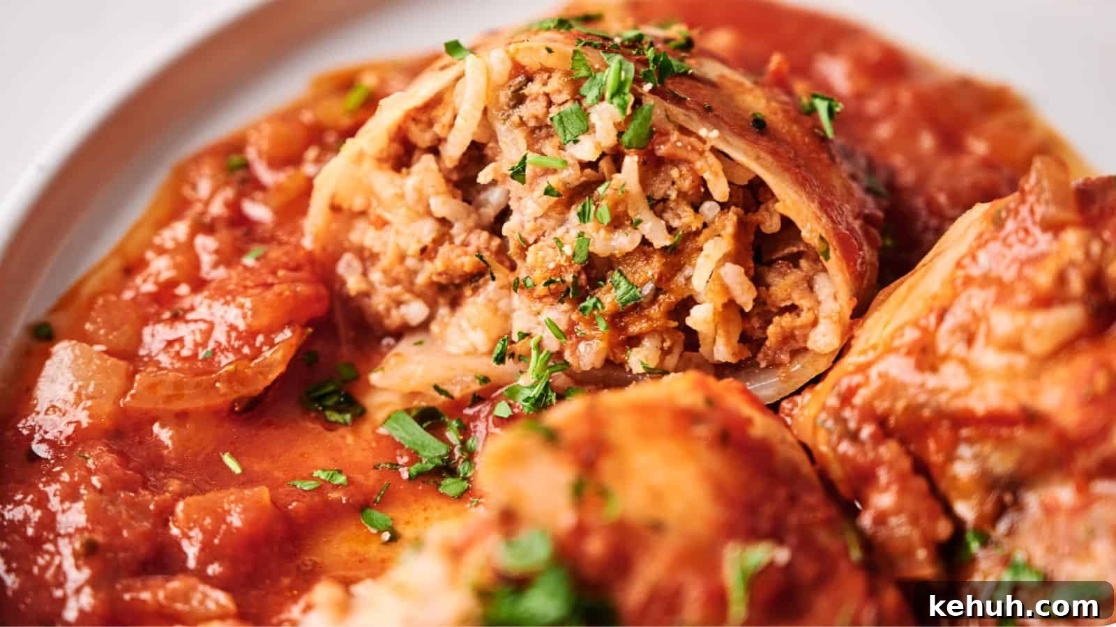 31 Homemade Thanksgiving Sides That Outshine Store-Bought 4 Close-up of stuffed cabbage rolls filled with rice and ground meat, topped with tomato sauce and garnished with chopped herbs.