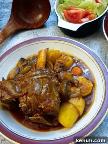 A lamb shank in a dish surrounded by vegetables and thick tomato gravy.