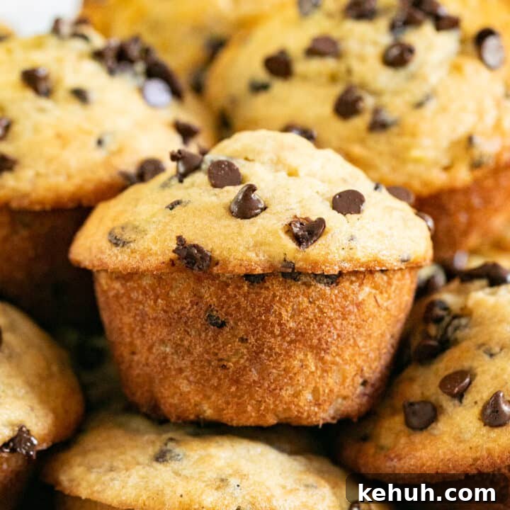 A close up image of a chocolate chip banana muffin inside a bowl of other muffins.