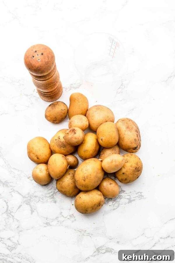 Ingredients for making perfectly boiled potatoes in an Instant Pot.