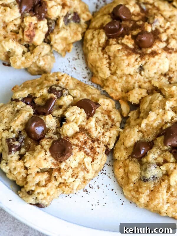 cookies up close on a white plate with chocolate.