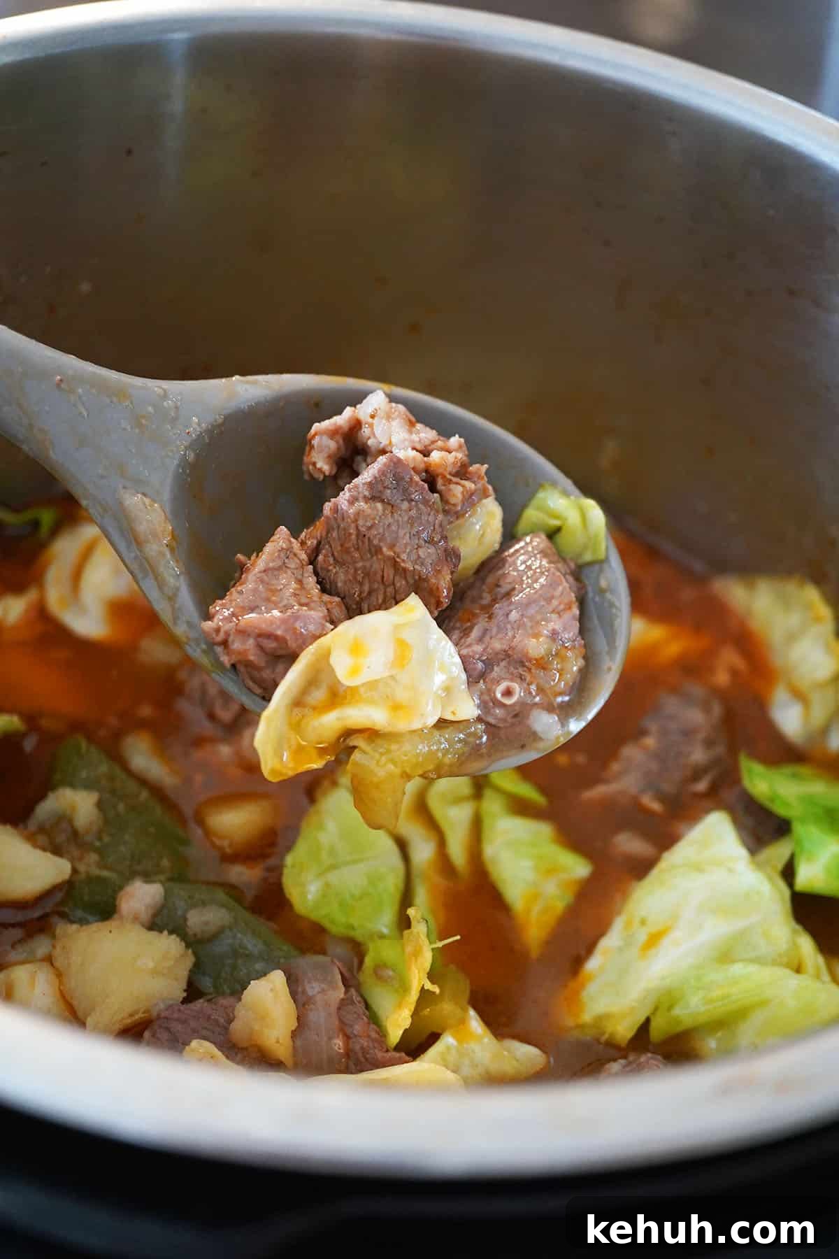 Instant Pot Beef and Cabbage Stew Recipe for Tender Meat 11 instant Pot Beef Stew