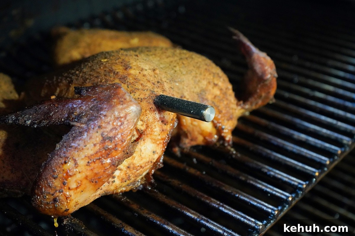 The Meatstick Test in a whole chicken on smoker. 