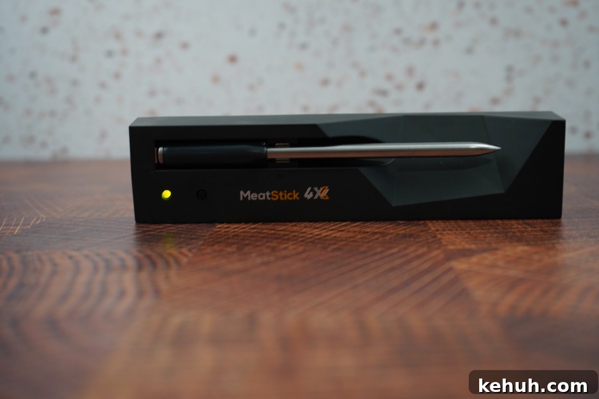 Meatstick with charger lights