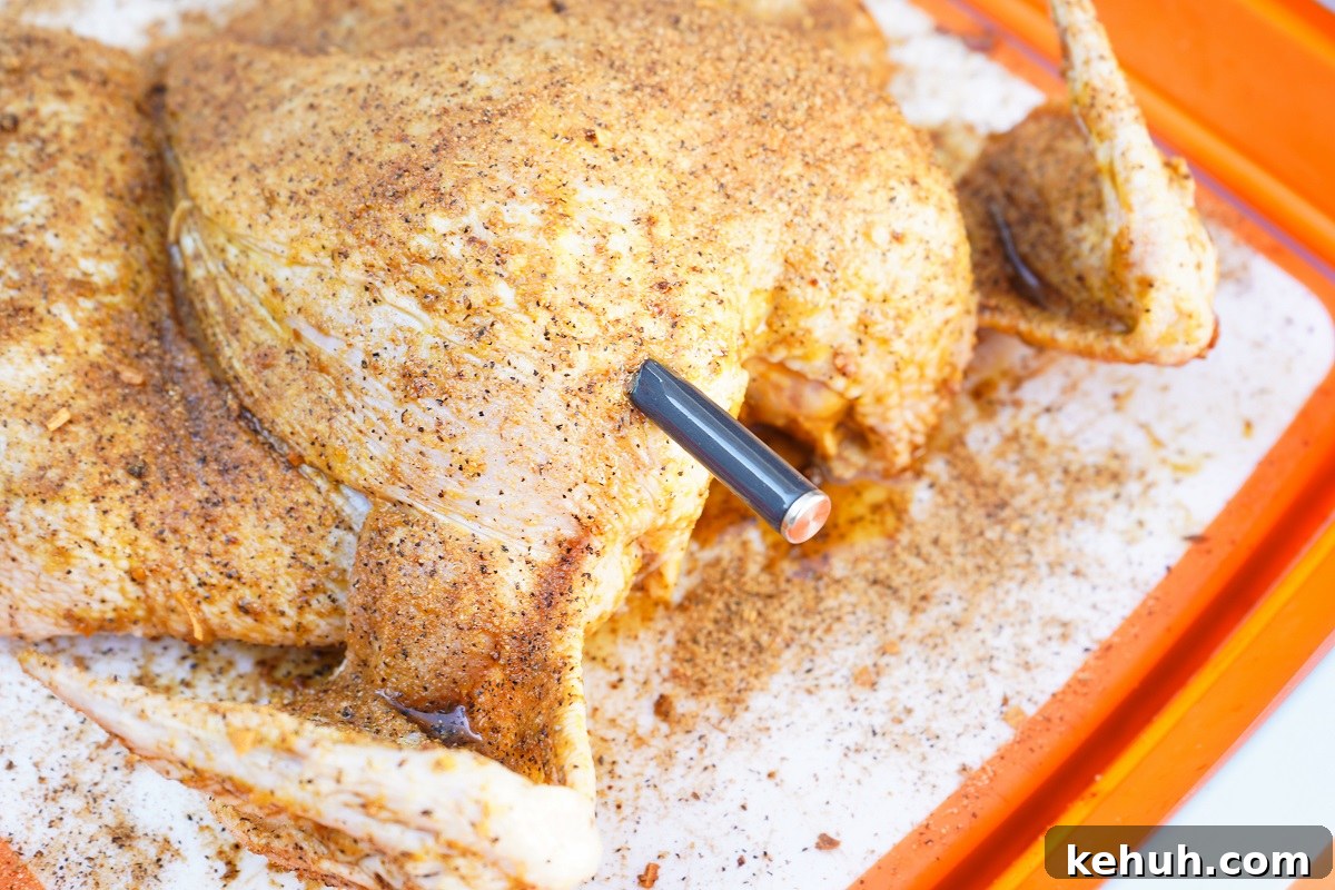 Meatstick inserted into chicken. 