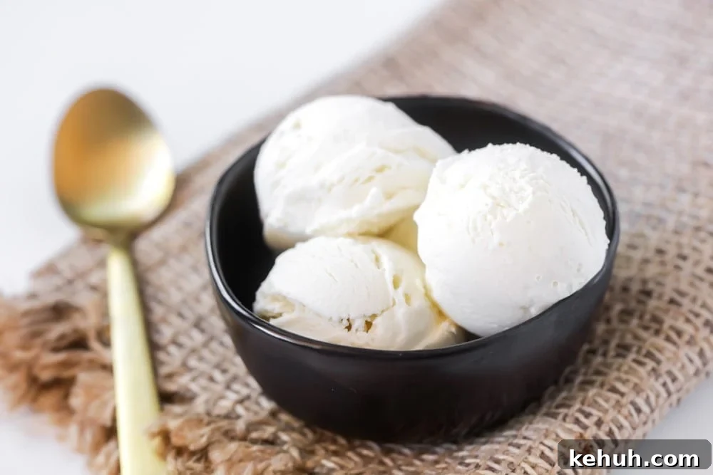 Hero shot of homemade vanilla ice cream.