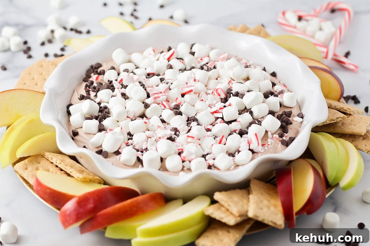 Hero shot of hot chocolate dip recipe.