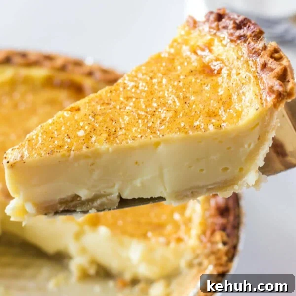 A slice of egg custard pie on a spatula