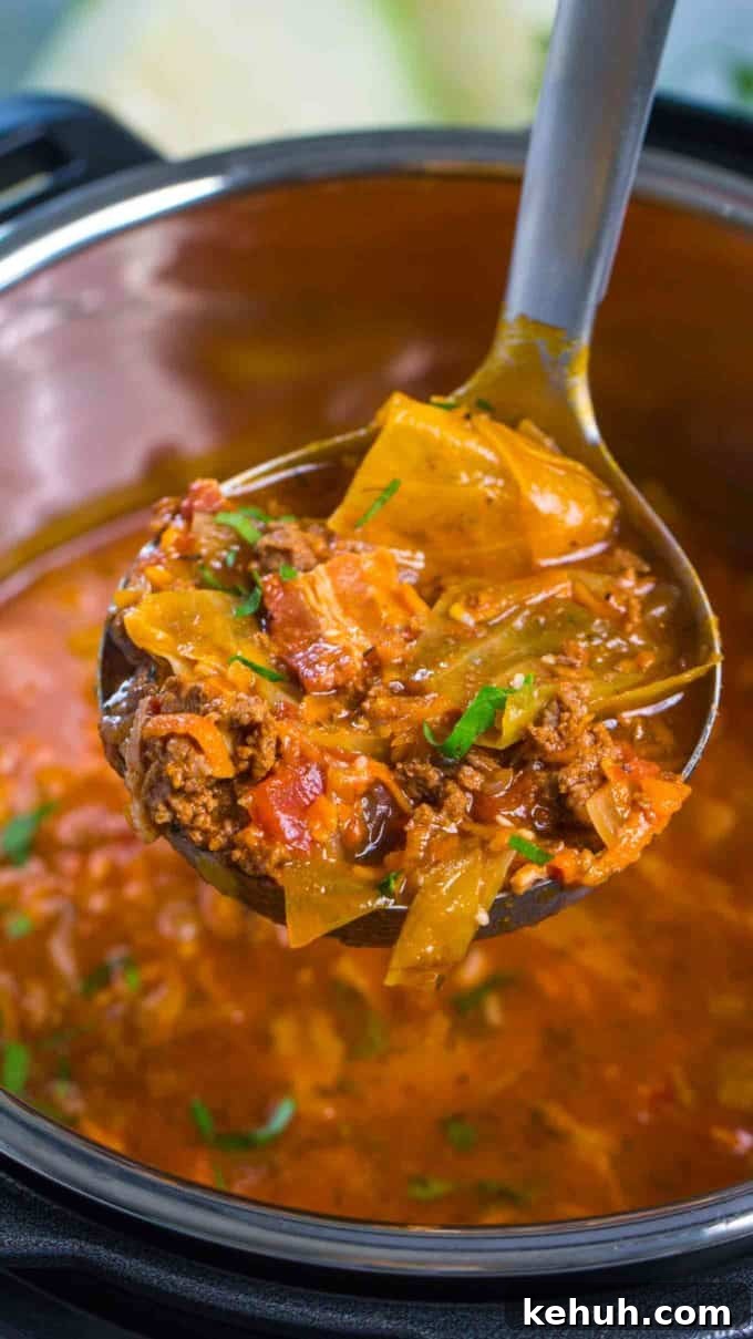 Instant Pot Soup Recipes You’ll Actually Love 14 ladle of cabbage roll soup