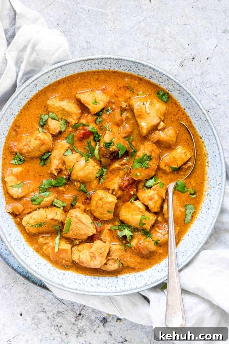 Instant Pot Soup Recipes You’ll Actually Love 5 spoon in a bowl of chicken curry